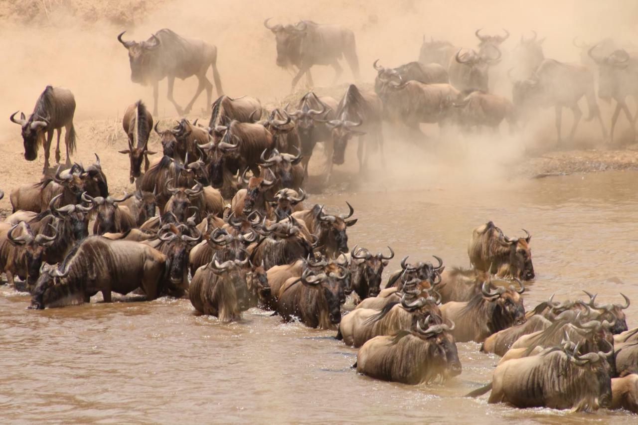 Gnu Mara River Camp 塞伦盖蒂 外观 照片