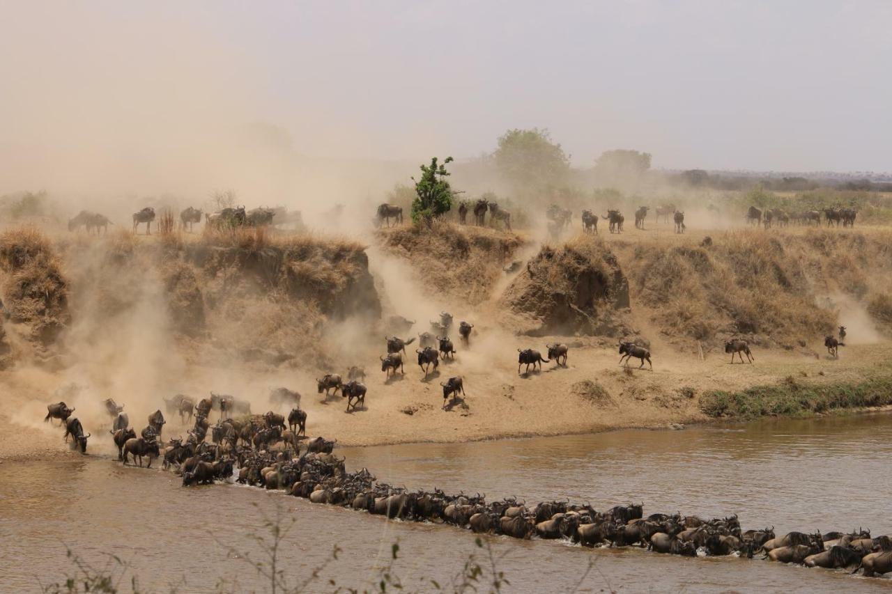 Gnu Mara River Camp 塞伦盖蒂 外观 照片