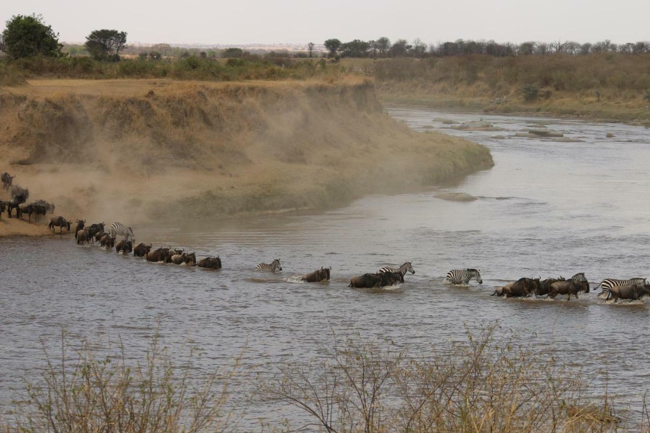 Gnu Mara River Camp 塞伦盖蒂 外观 照片
